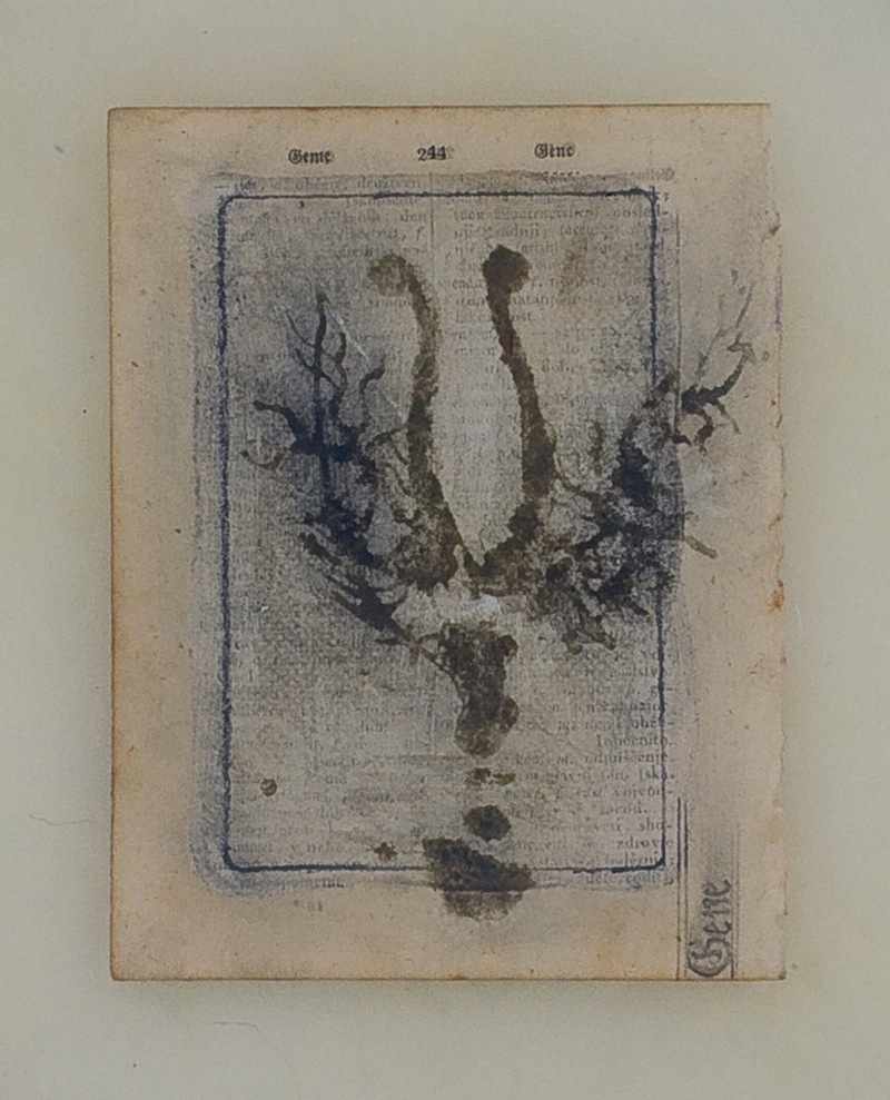 244 Popolni ročni slovar, 2009, grafit, pigment, tuš, radirka na papir, (foto Natalija Šeruga) N.Seruga_244